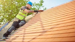 Best Roof Moss and Algae Removal  in Seven Oaks, SC